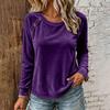 Women's Fashion Casual Velvet Round Neck Long Sleeve Top for Daily Wear