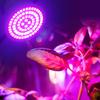 Led Grow Bulb 220V E27 60 80LEDs Full Spectrum LED Plant Greenhouse Hydroponic Growth Light Indoor Plant Phyto Flower Lamp