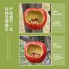 Trending Animal Shaped Bird Feeder, Resin Hanging Garden Decor, Aesthetic Outdoor Craft Art for Backyard
