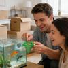 Aquarium Feeding Dish Suction Cup Aquarium Feeder Container Fish Tank Feeding Bowl For Living Room Tabletop Foyer Entryway