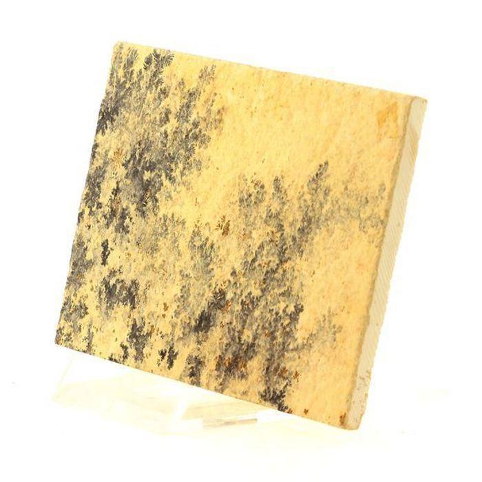 Pierres et Minéraux. Manganese Dendrites. 377.40 ct. Solnhofen, Middle Franconia, Allemagne.