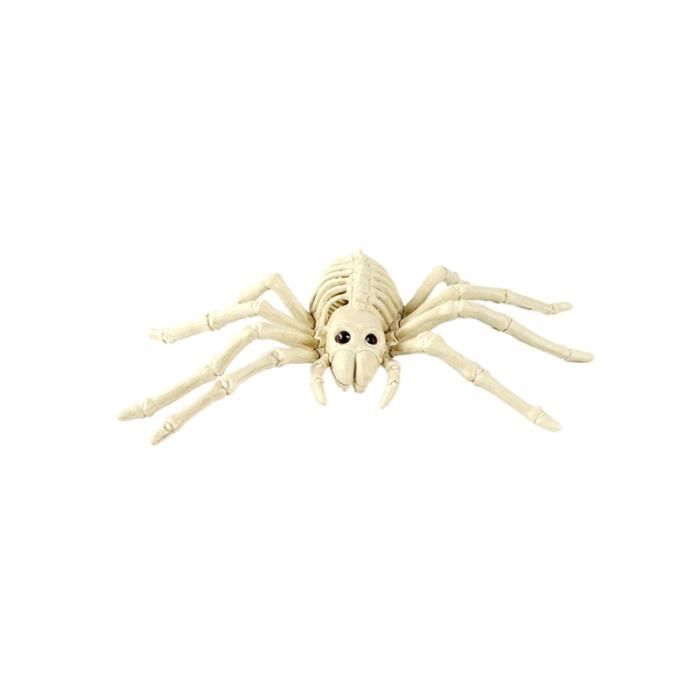 1pc Halloween animaux effrayant squelette accessoires heureux Halloween crâne effrayant animal squelette cadre (araignée)