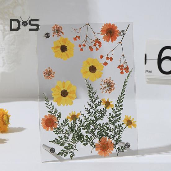 Acrylic Photo Frame Clear Picture Frames Tabletop or Wall Mount Display Frame for Home And Office DIY Dried Flower Crafts