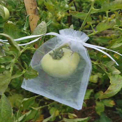 50 Pezzi Sacchetti Protezione Frutta Traspiranti Trasparenti Facili da Installare Coulisse Rete Sacchetti Protezione Pomodori Coperture a Rete Barriera Insetti
