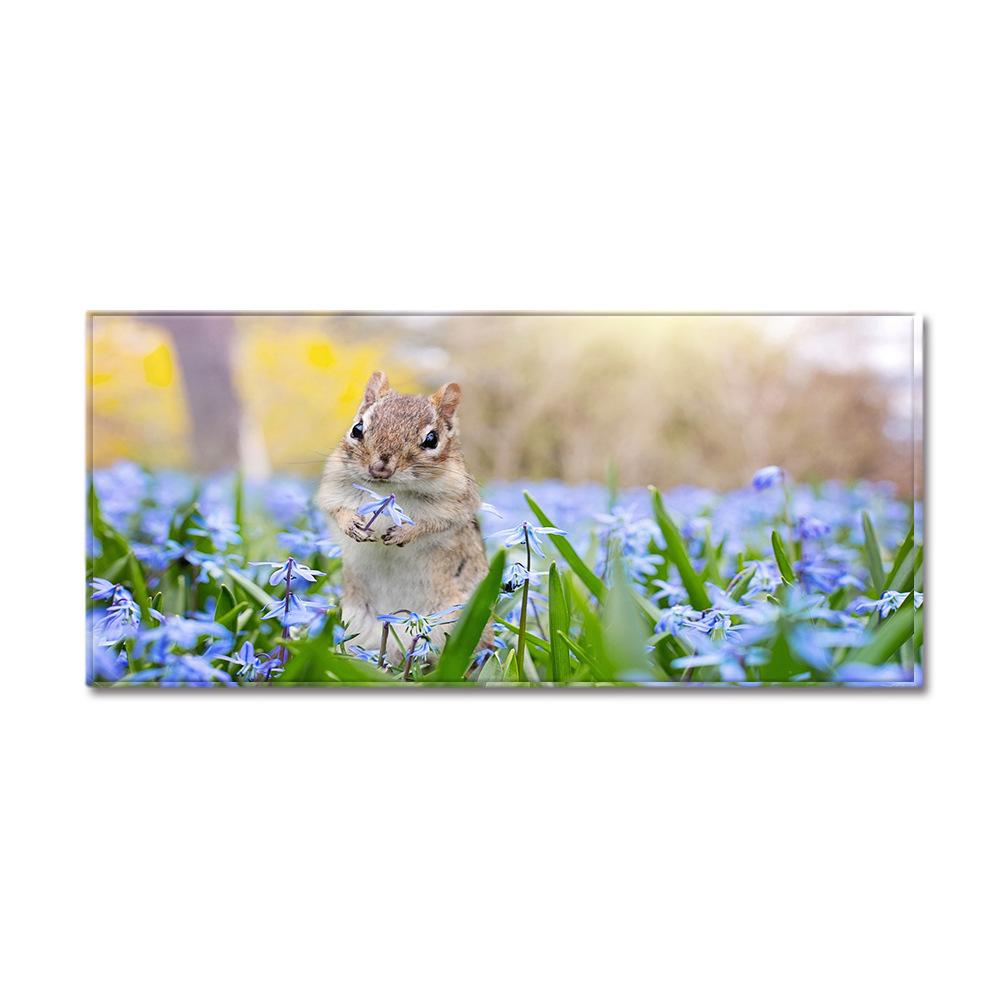 3D Digital Printing Animal Entrance Door Mat Kitchen Dirt-Resistant Long Bathroom Absorbent Floor Mat Living Room Non-Slip Carpet