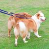 210Cm Multipurpose Medium Size Dog Double Leash Leashes Adjustable And Nylon Luxury Hands Free Small Dog Leash For 2 Dogs