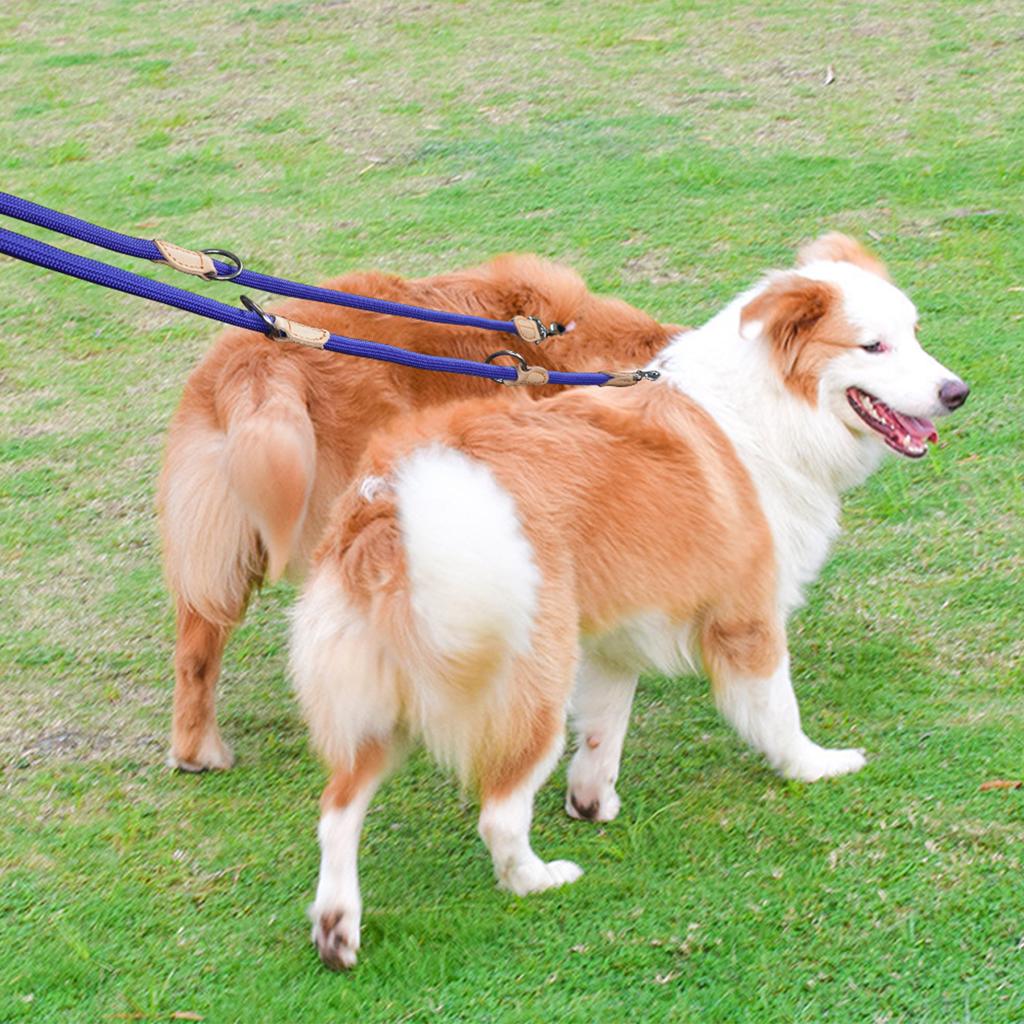 210Cm Multipurpose Medium Size Dog Double Leash Leashes Adjustable And Nylon Luxury Hands Free Small Dog Leash For 2 Dogs