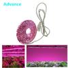 LED Grow Light Full Spectrum USB Grow Light Strip 0,5m 1m 2m 2835 Chip LED Phyto Lamp para Plantas Flores Estufa Hidropônica