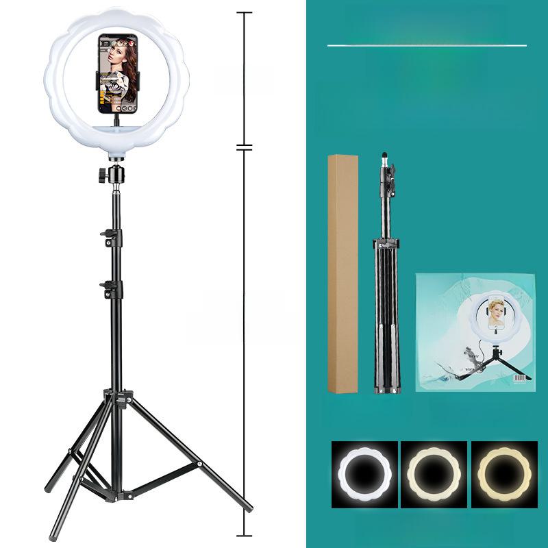 10 inch Foldable Tripod Bracket with LED Ring Light for Cross-border Live Broadcasts