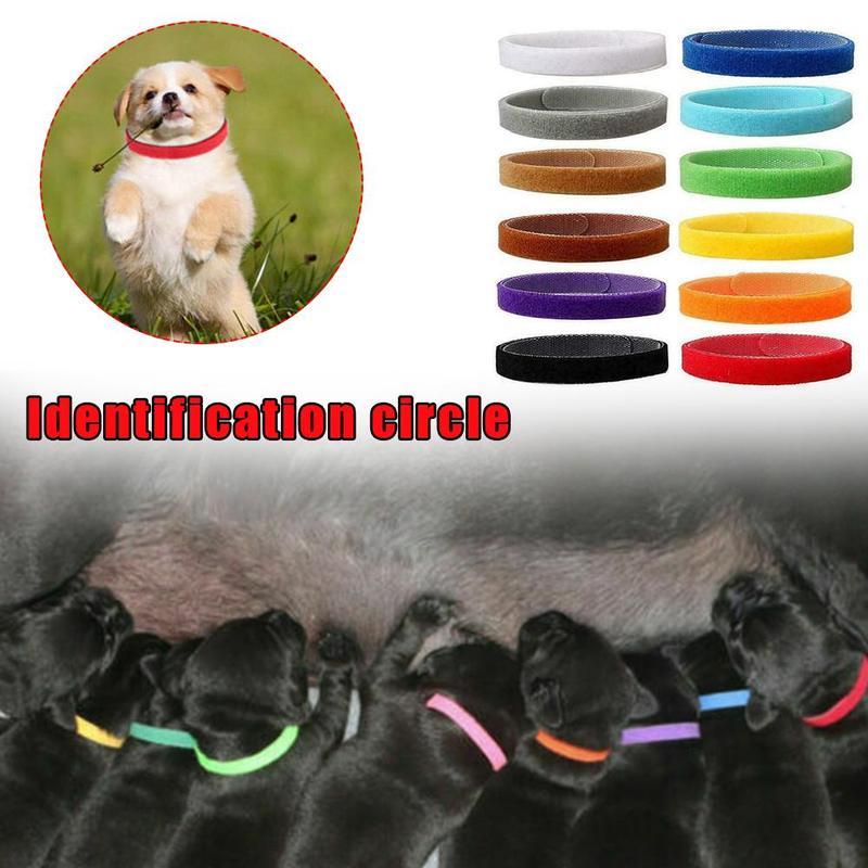 pack of puppy collars