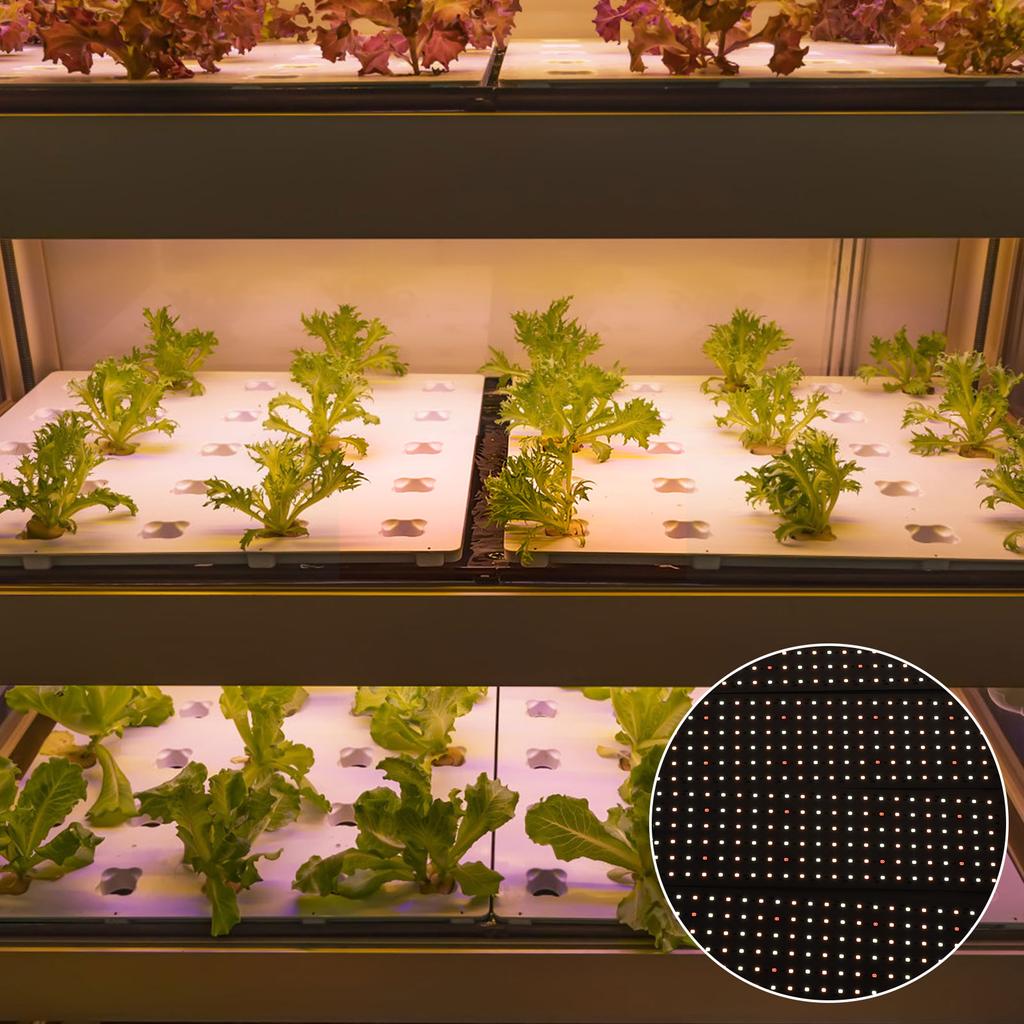 LED Grow Lights Full Spectrum Indoor Plant Growing Lamp Timer Function High PPFD Energy Saving