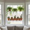 High Transparency Acrylic Plant Rack for Window Gardens Multipurpose Plant Holder Stand For Growing Vegetables