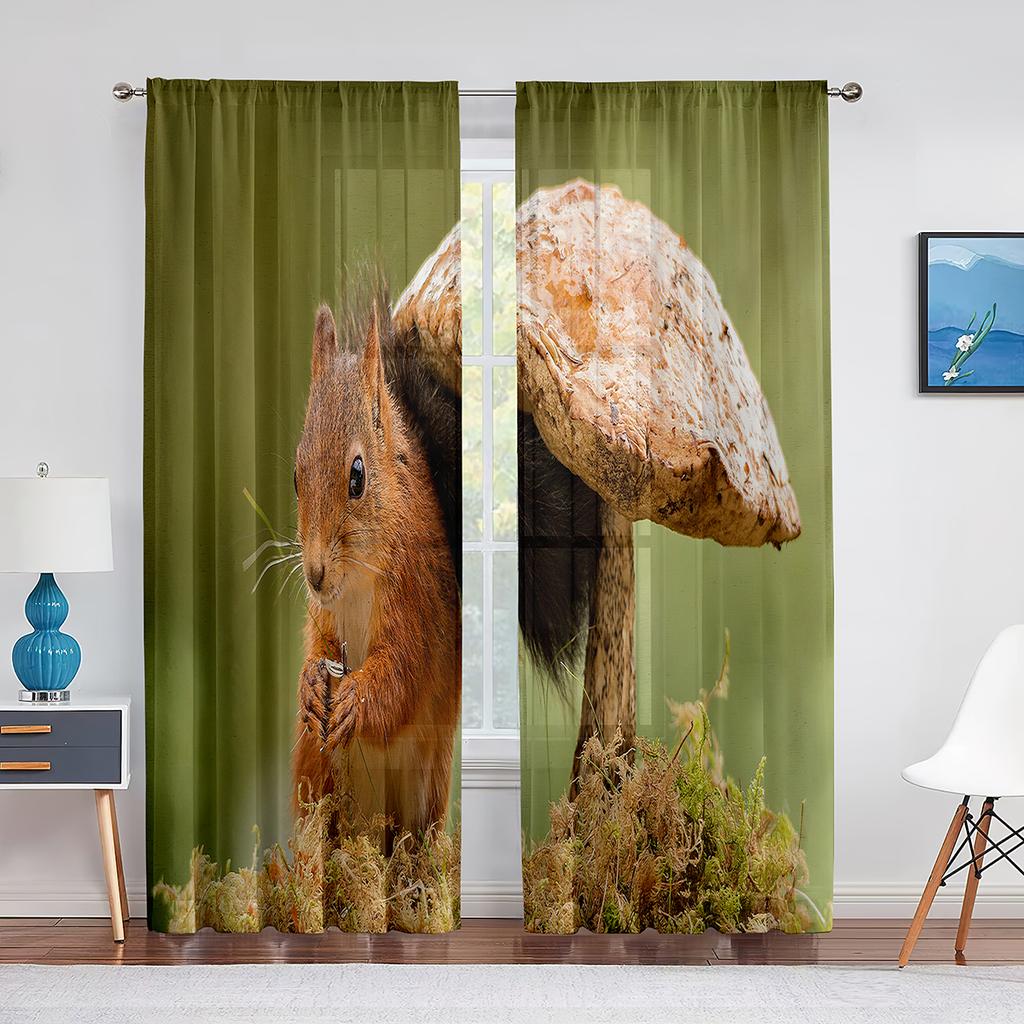 Squirrel Standing on Tree Branch Animal Sheer Voile Curtains for Living Room Modern Curtains for Kitchen Chiffon Tulle Curtain