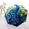 Blue Peacock Automatic Folding Umbrella Compact Lightweight For Outdoor Adventurest8