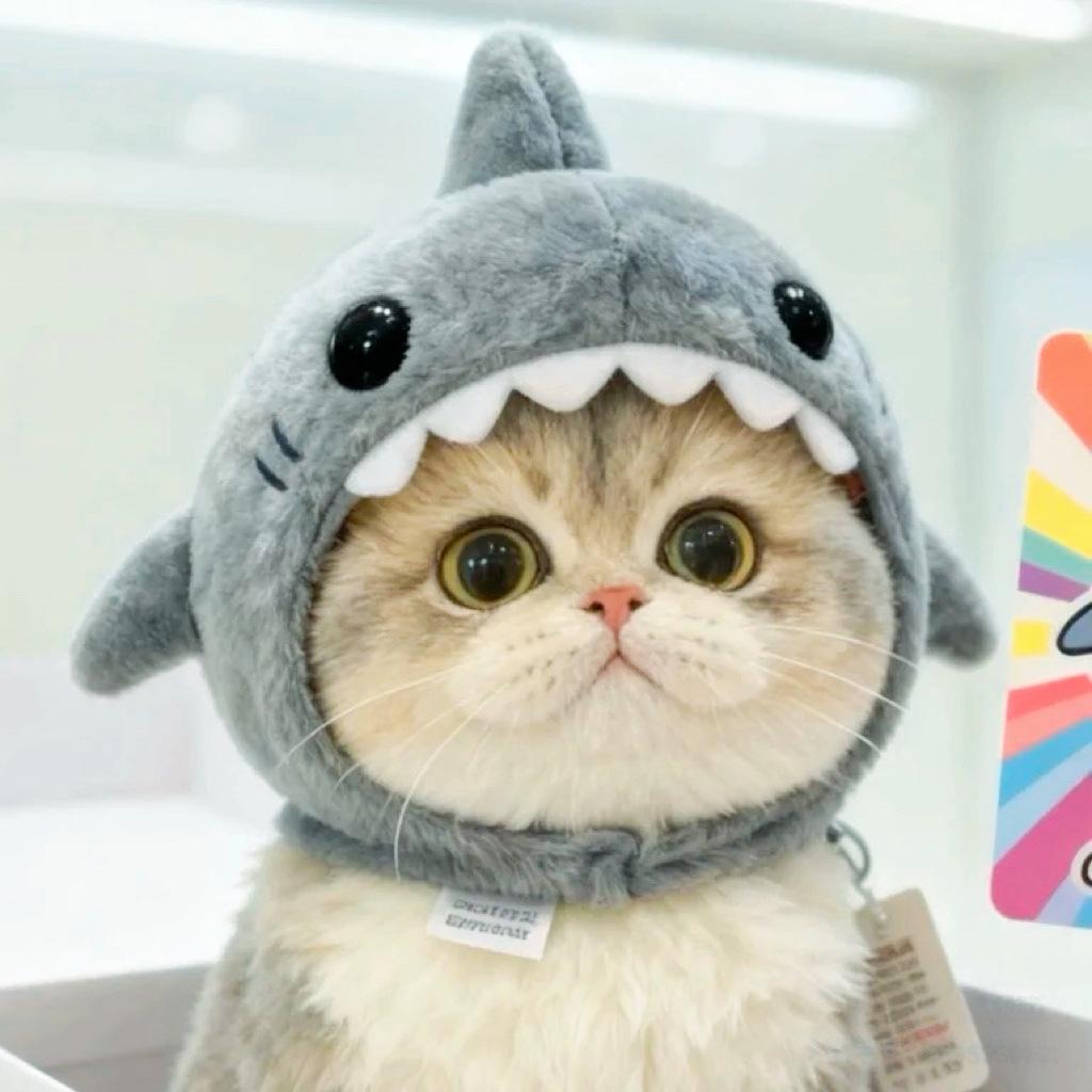 

Funny Adjustable Cat Shark Headdress Warm Soft Cat Decorative Hat Cute Cartoon Cat Warm Hat Cosplay Party Pet Head Cover
