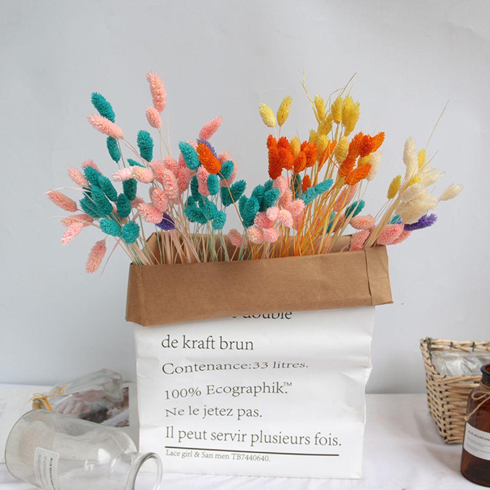 

Uraria Picta Shooting Props Rabbit Tail Grass Lagurus Ovatus Dried Flowers Bouquets Bunny Tails