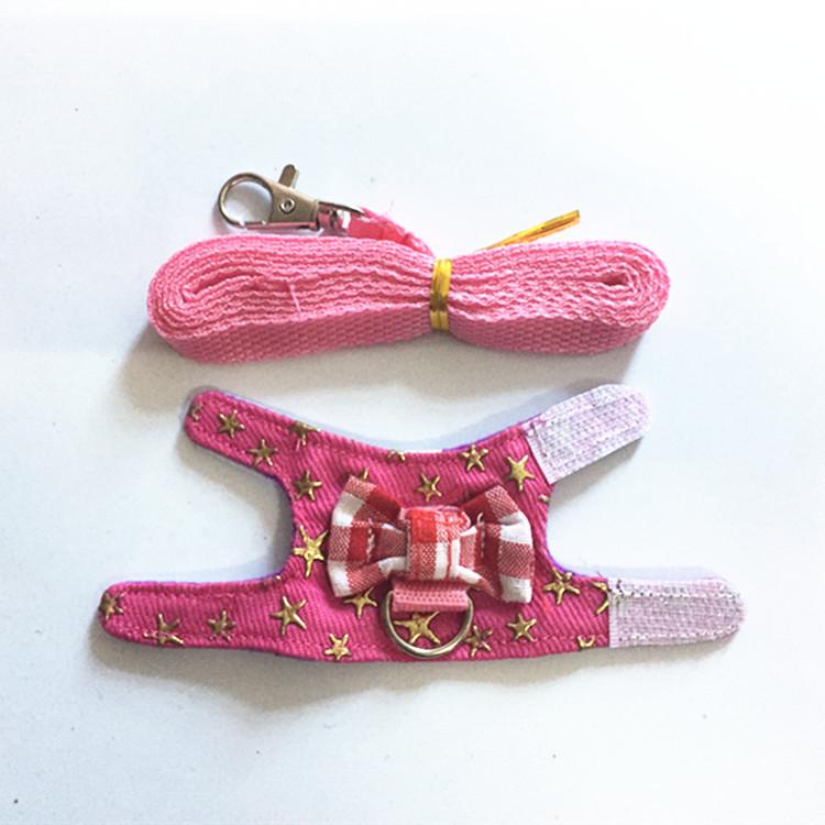 Adjustable Leash and Harness for Small Pets: Rabbit, Chinchilla, Ferret, Squirrel, Hamster, Guinea Pig, Mouse