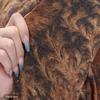 Elegant Autumn-Winter Long Sleeve Round Neck Top: Fashionable, Warm, and Age-Defying for Middle-Aged and Elderly Women.