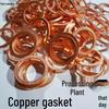 Annealed Copper Gasket Washer, 2mm Thick for M3/M6/M8/M12, High-Temperature & Pressure, Oil Drain Screw Spacer