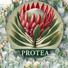 Accesorii pentru decor – Produse din metal