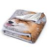 Cozy Blanket Plane Travel Cute Fox Throw Blanket Casual  Bedspread For Chair Sofa Bed