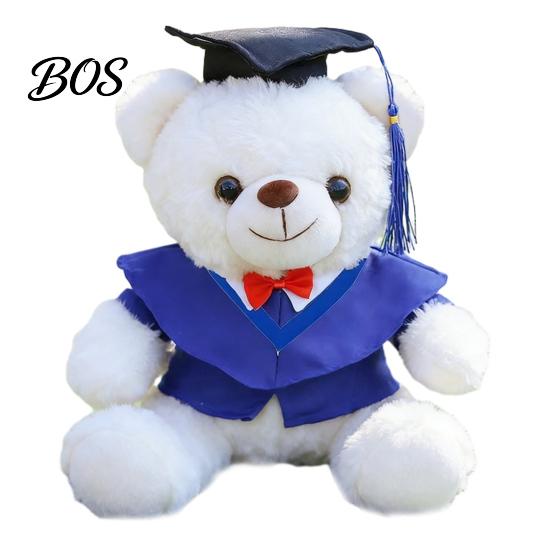 Luxury Gift Packaging Bear Personalized Graduation Gifts 2026 for Her, Cute Teddy with Embroidered Gown Award And Cap, Soft Plush Mascot College High