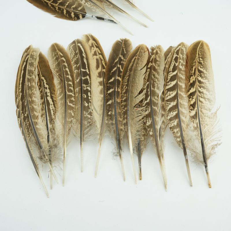 15-18cm Natural Pheasant Feathers for DIY Crafts Premium Handmade Costume Accessories Fly Tying & Wedding Decor Supplies Bulk