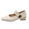 Skirt Shallow Mouth New Small Fragrant Wind Mary Jane Shoes Women's 2025 Square Head French with Gentle Single Shoes Small Leather Shoes Spring and