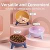 Anti Slip Pet High Footed Bowl 15° Inclination Wide Mouth Elevated Pet Feeder Bowl Stable Anti Vomiting