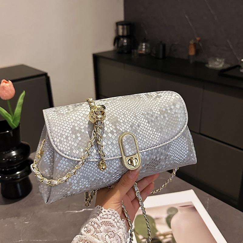 Niche Design Autumn New Chain Shoulder Bag Women's 2025 Popular Underarm Bag Fashion Casual Personality Messenger Bag