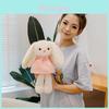Plush Bunny Toy For Kids With Pp Cotton Filling For Decoration Kids Gift