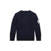 Polo Ralph Lauren Kids Boys Yankees Bear Sweater 2 7 Cwposweb6820553410