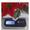 2 Pcs Christmas Candle Rings Candle Wreaths Poinsettia Holly Leaves Berries Decor