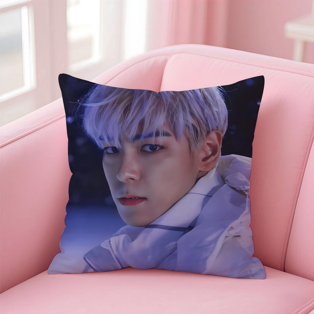 Singer T.O.P Cushion Cover Home & Car Multi-Scene Pillow Cover - Reversible, Soft & Durable for Daily Use