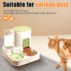 Automatic Pet Feeder And Waterer, Automatic Feeding Cat Food And Waterer Set For Small And Large Cats And Dogs