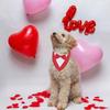 Formal Pet British Wedding Suit Gentleman Scarf Bow Tie Collar Dog Triangle Towel Saliva Towel Pet Decoration Accessories