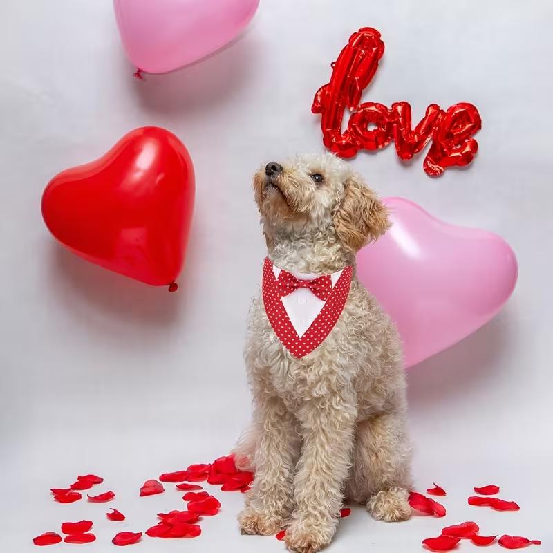Formal Pet British Wedding Suit Gentleman Scarf Bow Tie Collar Dog Triangle Towel Saliva Towel Pet Decoration Accessories
