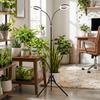 Indoor Plant Growing Light Telescopic Tripod Stand LED Plant Light with   3 Timing Modes 6 Brightness Levels for Indoor Plant