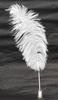 2 set pack ostrich large feather brass rotary bankers type pen brass dacap pen stand white feather Japanese-processed + Q-S1P3WD-2