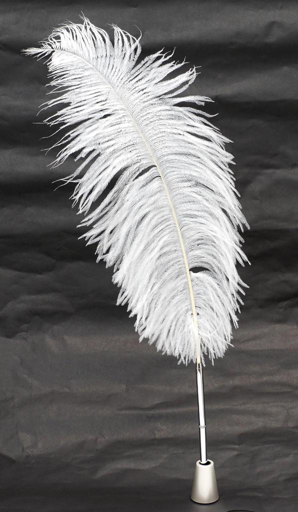 Pachet 2 set struț cu pene mari din alamă tip bancher rotativ stilou alamă dacap pix stand penă albă procesat japonez + Q-S1P3WD-2