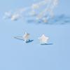 Star Stud Earrings Women's Temperament Light Luxury Cute Brushed Pentagram Symmetrical Earrings