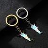Argentina Map Flag Keychain Stainless Steel Charm Keyring Remembrances Jewelry