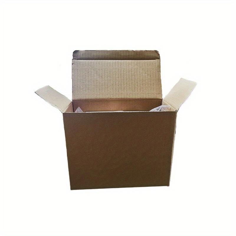 Human Digestive System Model Stomach Anatomy Large Intestine Cecum Rectum Duodenum Human Internal Organs Structure Model