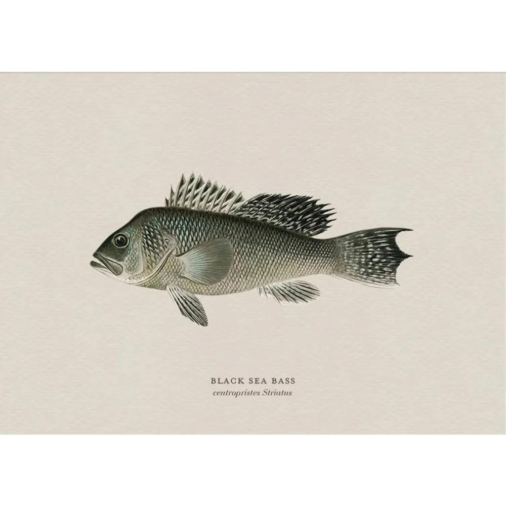 Vintage Bass Fish Trout Fly Fishing Posters Prints Canvas Painting Fisherman Retro Wall Art Picture for Living Room Home Decor
