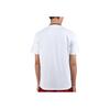 Li Ning Badminton Series Casual Breathable Short Sleeve T-Shirt Men Tops White AHSS245-1