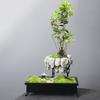 Pure Handmade Succulent Flower Pots, Rich Tree, Bonsai, Rice, Bamboo Indoor, Floating Island, Suspended Iron, Micro Landscape Ba