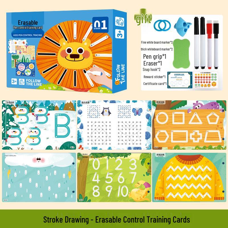 Advanced Erasable Pen Control Practice Cards for Preschool Cognitive Development and Early Childhood Education