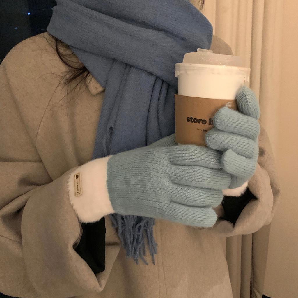 Jintai Korean Version of Winter Thickened Color Blocking Gloves Warm Plush Double Layer Touch Screen Split Knitted Female Cycling Student