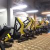 Ganas Multi-function Roman Hyperextension Training Chair