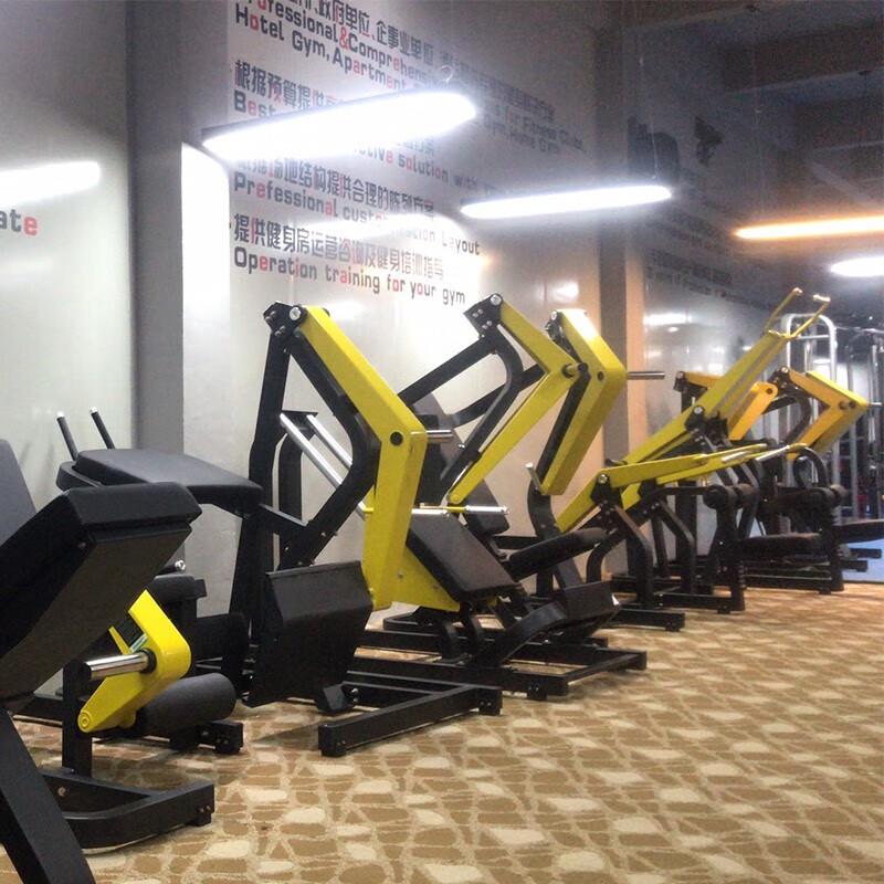 Ganas Multi-function Roman Hyperextension Training Chair